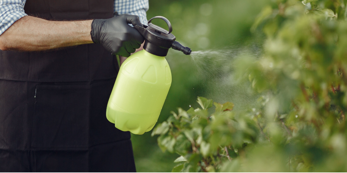 Spraying chemicals